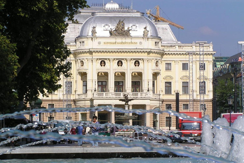 Bratislava : Grand tour de ville avec le château de DevinVisite de groupe