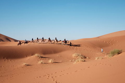 Da Fes a Marrakech: Tour del deserto di 3 giorniDa Marrakech: tour nel deserto di 3 giorni per Fès