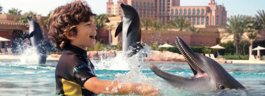 Aquaventure Waterpark, Dubai: Delfinopplevelse