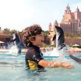 Dubai: Biljett till Delfinmötet på Atlantis Waterpark