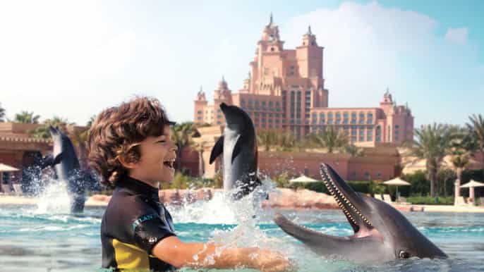 dubai ontmoet dolfijnen in ondiep water bij atlantis