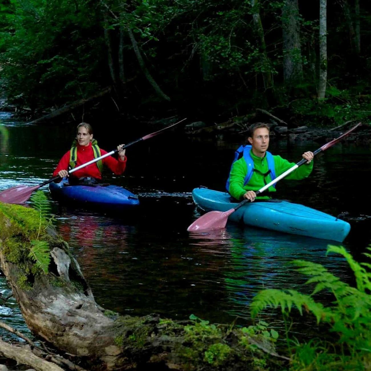 Dals Långed: Kajaktour auf dem Fluss Steneby