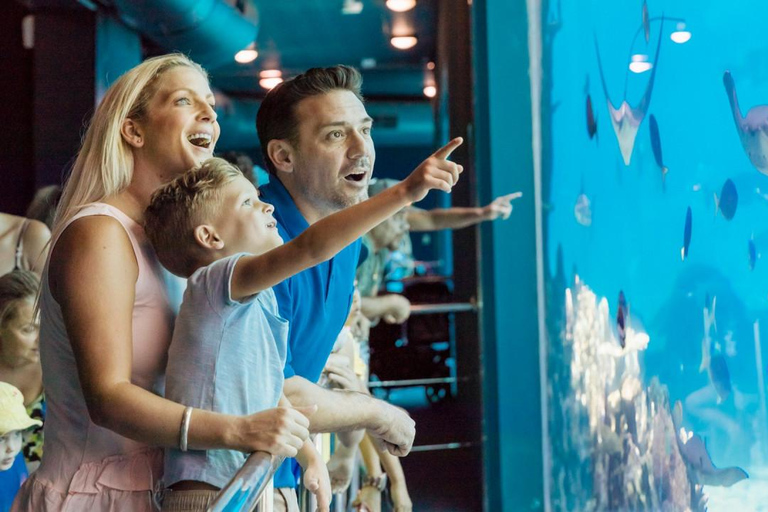 Sea World Entry Ticket with Rides and Shows