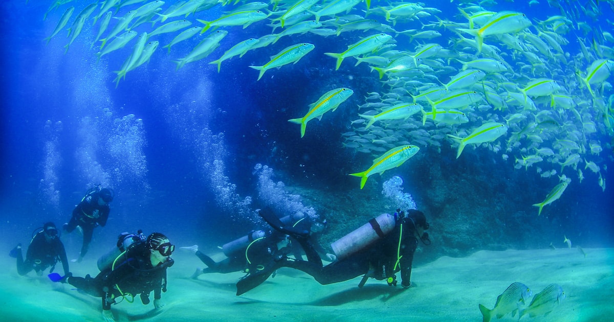 Los Cabos: 3-Hour Introductory Scuba Diving Adventure | GetYourGuide