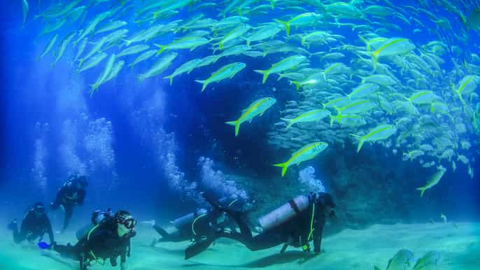los cabos 3hour introductory scuba diving adventure