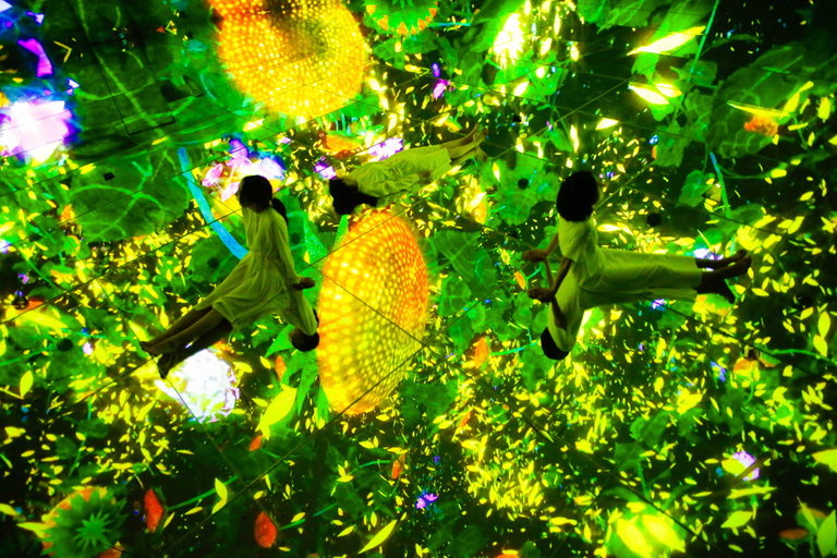 teamLab Planets TOKYO: Inträdesbiljett