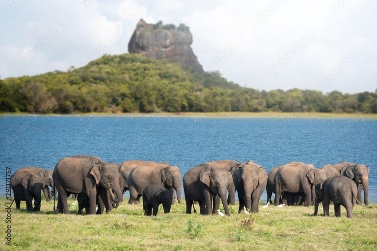 8-Night Sri Lanka Tour with Hotels