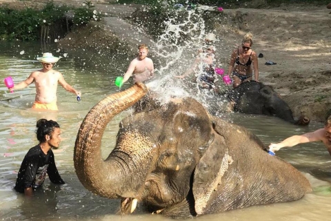 Krabi: Elefanten-Baden & Quad-Abenteuer Kombi-Tour