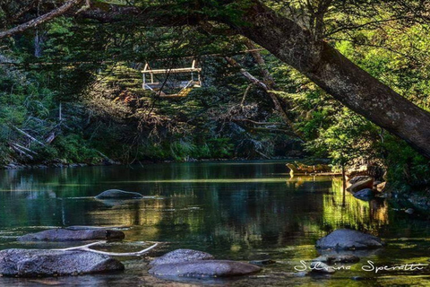 Bariloche: Full-Day El Bolsón and Puelo Lake Tour Tour in Spanish