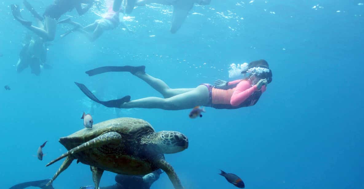 Hurghada: Giftun Island Snorkeling Trip with Lunch