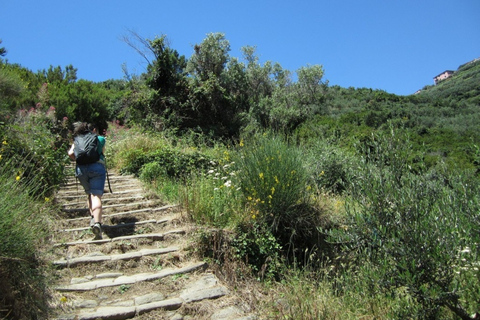 Desde Florencia: excursión de un día a Cinque TerreCinque Terre: excursión de un día desde Florencia