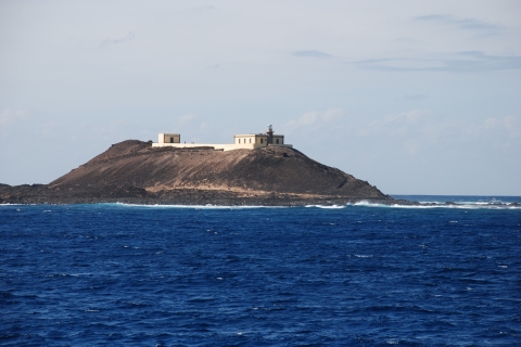 Fuerteventura: 1-godzinny mini pływanie i rejs z rurką