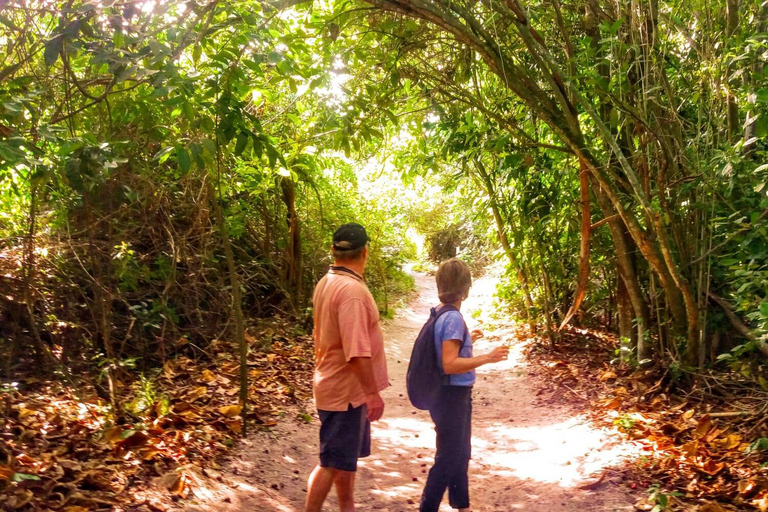 Rio de Janeiro Nature Secrets &#039;The Eco Citytour&#039;Rio Nature Secrets &#039;The Eco Citytour&#039; - small group (max. 6)