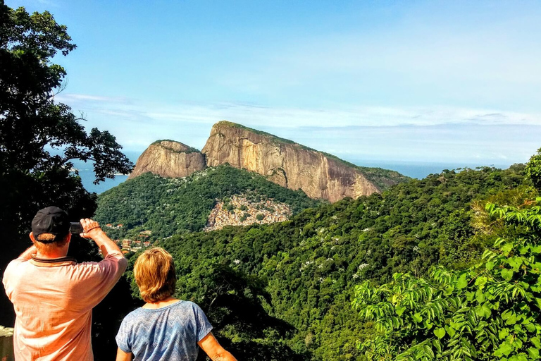 Rio de Janeiro Nature Secrets &#039;The Eco Citytour&#039;Rio Nature Secrets &#039;The Eco Citytour&#039; - small group (max. 6)