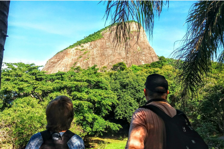 Rio de Janeiro Nature Secrets &#039;The Eco Citytour&#039;Rio Nature Secrets &#039;The Eco Citytour&#039; - small group (max. 6)