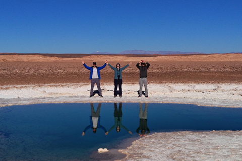 Salta: 4WD Tour of Tolar Grande and the Puna