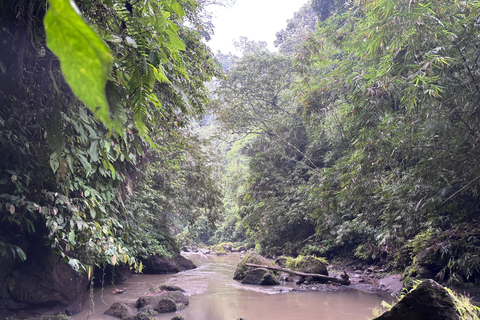 Private Balinese Body and Soul Cleansing Journey