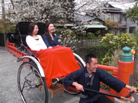Kamakura, Visite d'histoire privée et du patrimoine par Rickshaw - Hizvo