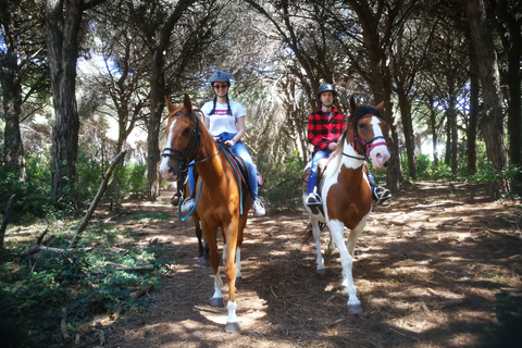 Horse Sanctuary in Rome Elevating the Ride: Summer in the Simbruini Mountains