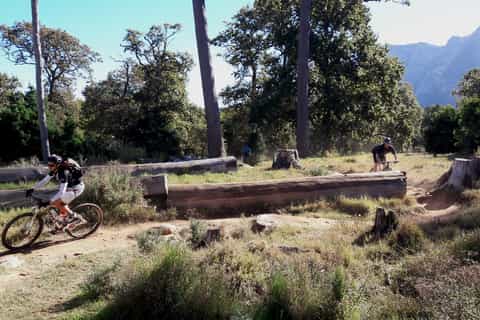 Cape Town: Mountain Bike Table Mountain to Constantia Loop