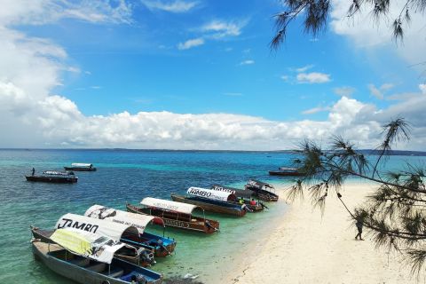 Zanzibar: tour di Prison Island con pranzo in spiaggia
