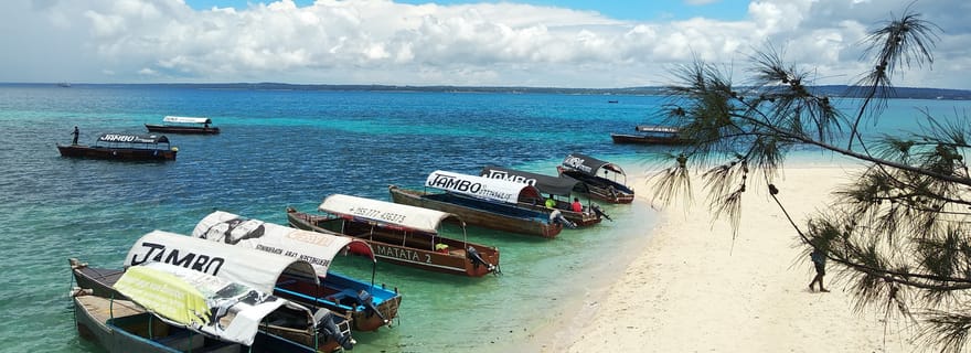Visite privée de l'île-prison et du banc de sable de Nakupenda, avec déjeuner