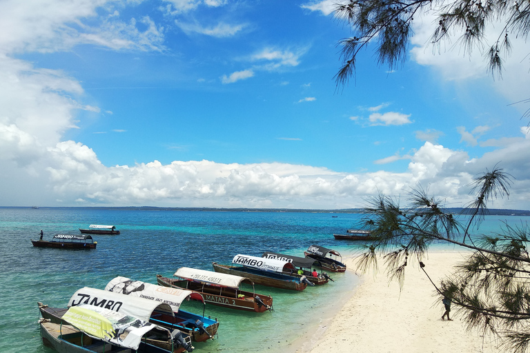 Zanzibar: Prison Island Tour with Lunch on the Sandbank Zanzibar: Prison Island Tour with Lunch and Hotel Transfer