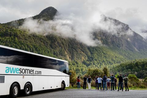From Queenstown: Milford Sound Full-Day Tour with Lunch