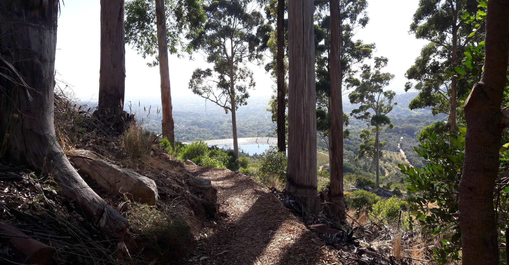 Kapstadt, Mountain Bike Tischberg nach Constantia - Hizvo