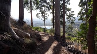 Kapstadt, Mountain Bike Tischberg nach Constantia - Hizvo