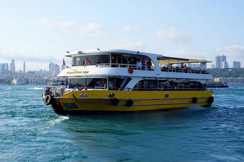 Istanbul: Bosphorus and Golden Horn Tour with Live Guide