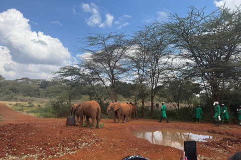 From Nairobi: National Park & Maasai Mara Safari Guided Tour