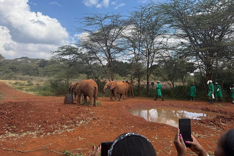 From Nairobi: National Park & Maasai Mara Safari Guided Tour