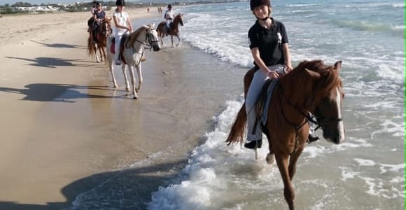 Hammamet: 1.5-hour Sunset Horseback Ride on the Beach with Optional Swimming