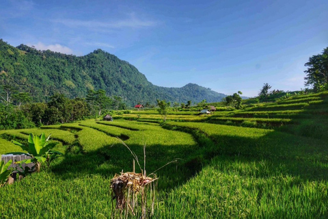 Bali: Wasserpalast Taman Ujung, Candi Dasa und Sidemen