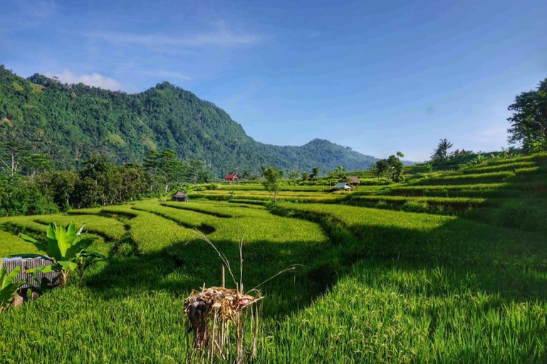 Bali: Ujung Water Palace, Candidasa i Sidemen Village Tour