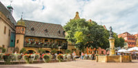 From Strasbourg, Best Of Alsace Historical Day Trip - Housity