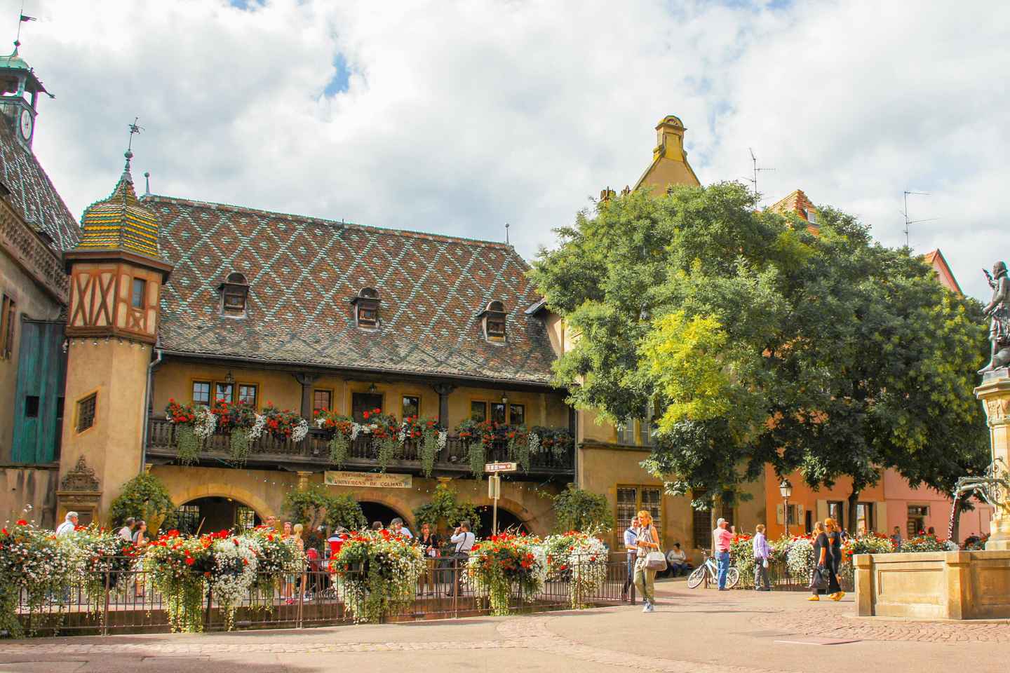 From Strasbourg: Best Of Alsace Historical Day Trip