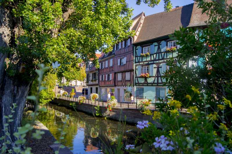 Au départ de Strasbourg : Excursion historique d'une journée en Alsace