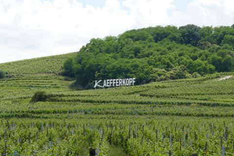 Alsace Medieval History Day Trip from Strasbourg