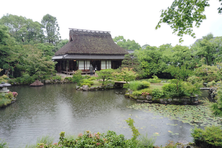 نارا: جولة في حدائق يوشيكين وإيسوئين مع حفل شاي