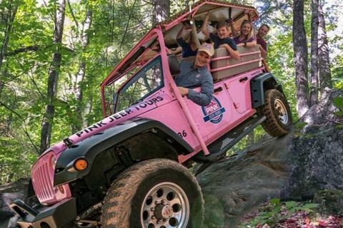 Pigeon Forge: Newfound Gap and Smoky Mountains Jeep Tour