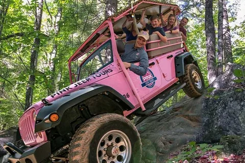Pigeon Forge: Newfound Gap and Smoky Mountains Jeep Tour
