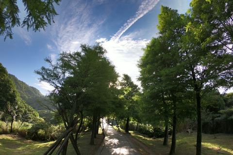 Desde Taipei: tour privado por la naturaleza y el volcán YangmingshanTour privado al volcán Yangmingshan