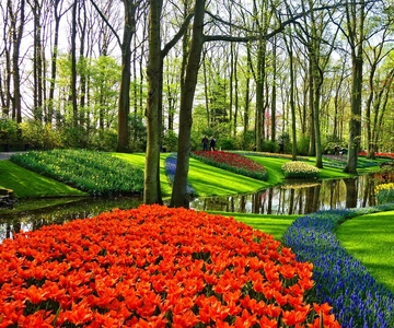 Amsterdam: Keukenhof & Zaanse Schans Windmills Private Tour