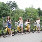 Location de vélos à Central Park