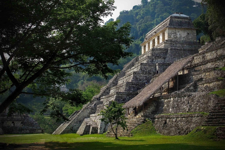Agua Azul, Misol-Ha en Palenque-ruïnesRondleiding in het Spaans met gids inbegrepen