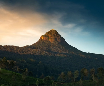 De Kandy: Trekking no Pico Adams e caminhada épica com guia