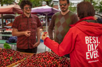 Lubiana Bites & Sights con una guida locale - Hizvo
