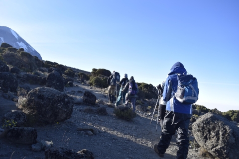 Kilimanjaro Climb - Rongai 6 dagen 5 nachten